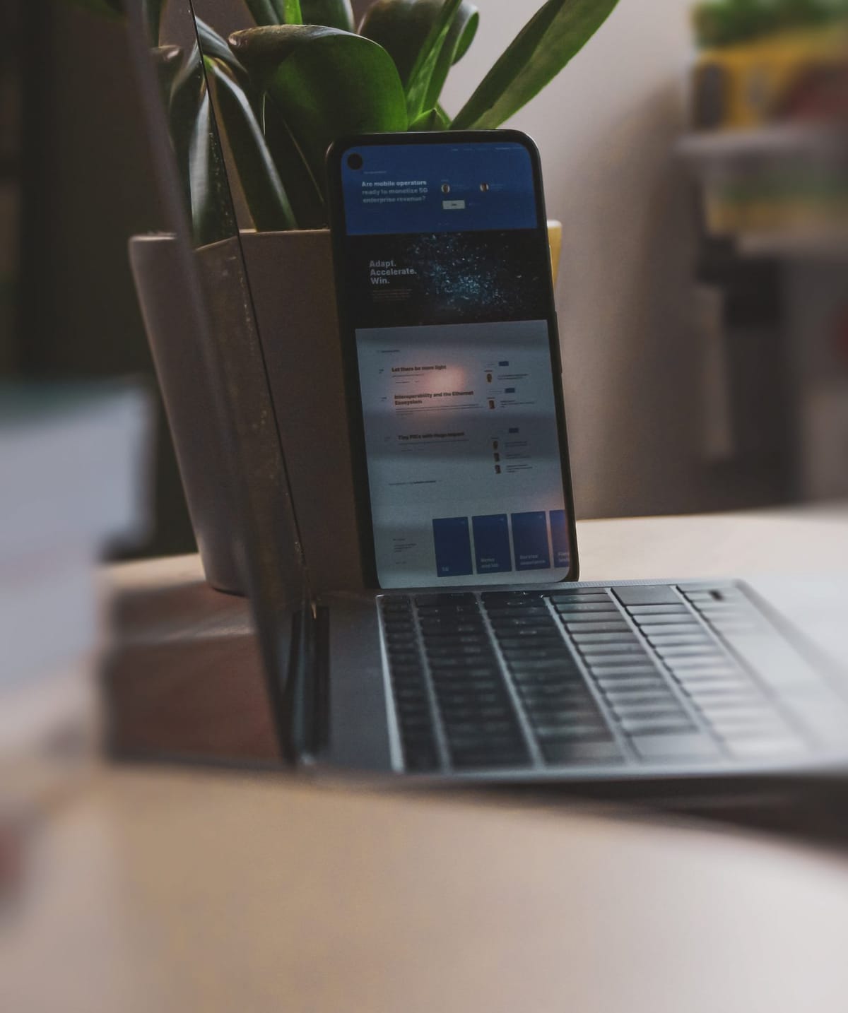 Plataforma imobiliária: por que você precisa de uma?